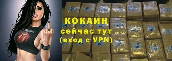 молекула духа Осташков