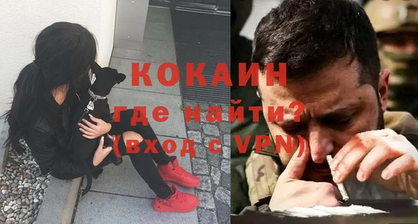 молекула духа Осташков