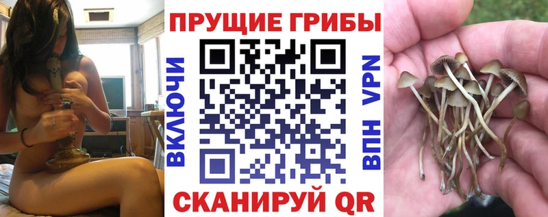 OMG ONION  Ладушкин  Галлюциногенные грибы GOLDEN TEACHER 